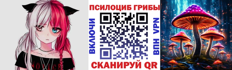 Псилоцибиновые грибы прущие грибы  Самара 